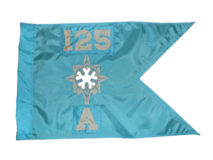 Military Intel Guidon